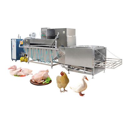 High Productivity Steam Chicken Slaughtering Machine for Customizable Halal Poultry