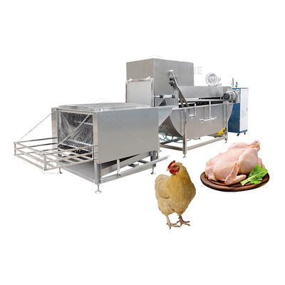 High Productivity Steam Chicken Slaughtering Machine for Customizable Halal Poultry